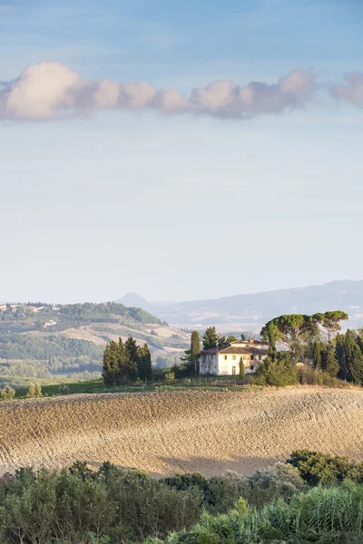 Tuscany Landscape in the morning — Stock Photo, Image