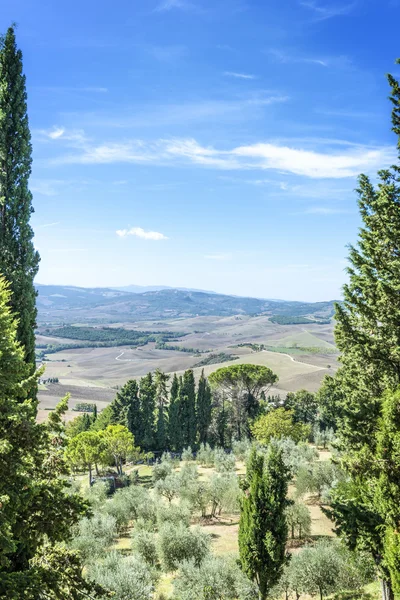 Vista desde Pienza —  Fotos de Stock