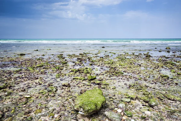 Playa de Omán —  Fotos de Stock