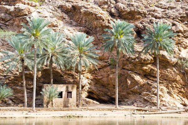 Wadi Shab Omán — Foto de Stock