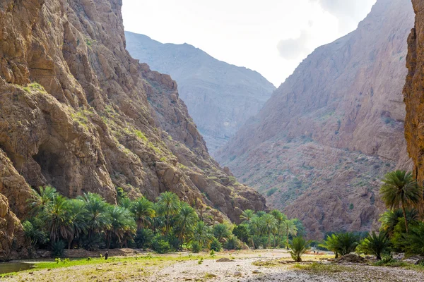 Wadi Shab Oman — Zdjęcie stockowe