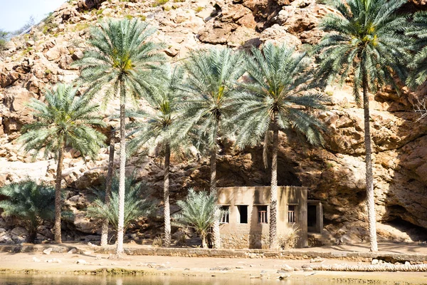 Wadi Shab Oman — Stockfoto