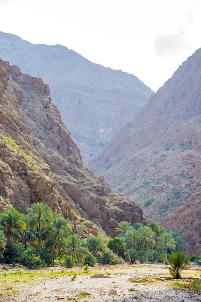 Wadi shab 阿曼 — 图库照片