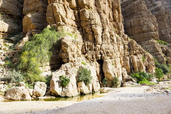 Wadi Shab Oman — Stockfoto