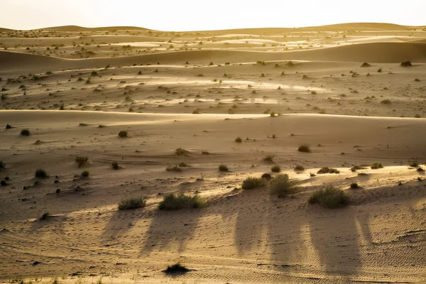 Desert avond stemming oman — Stockfoto