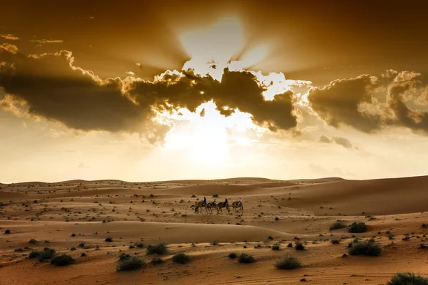 Deserto wahiba oman — Fotografia de Stock