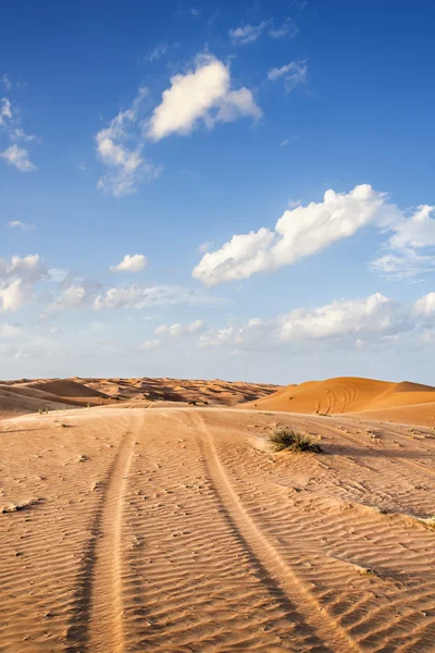 Deserto wahiba oman — Fotografia de Stock