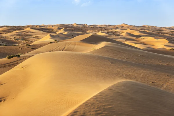 Deserto wahiba oman — Fotografia de Stock