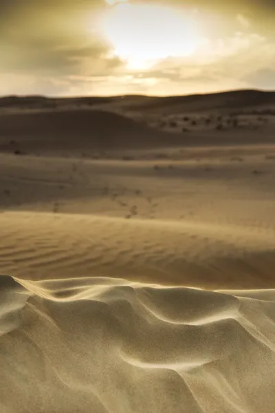 Sunset Wahiba Oman — Stok Foto