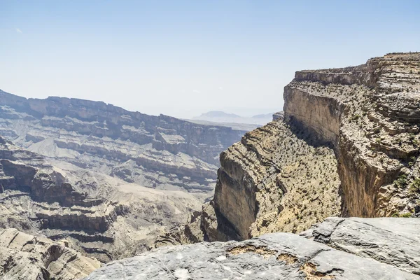 Kamel in Wahiba oman — Stockfoto