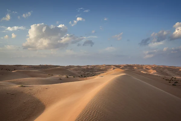 Desert Wahiba Oman — Stock Photo, Image