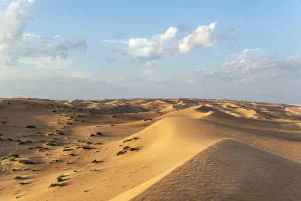 Deserto wahiba oman — Fotografia de Stock