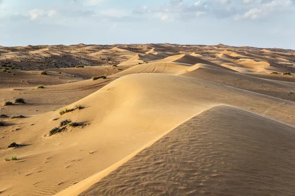 Deserto wahiba oman — Fotografia de Stock