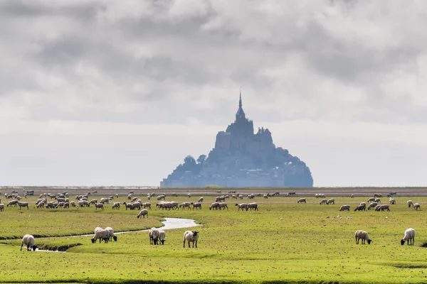 Mount St Michel in Normandy — Stock Photo, Image