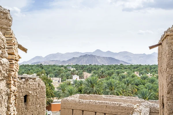 View Birkat al mud — Stock Photo, Image