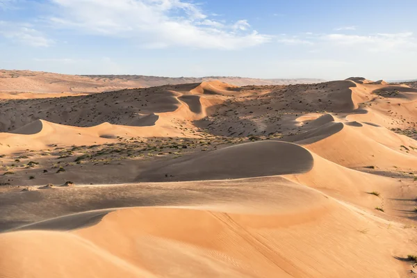 Desert Wahiba Oman — Stock Photo, Image