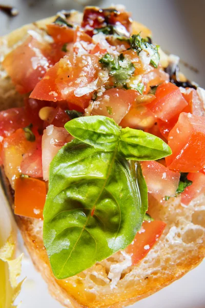 Yakın çekim domates bruschetta — Stok fotoğraf