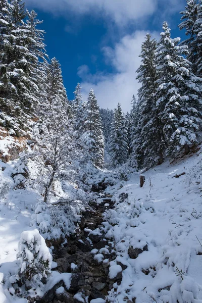 Landscape Snow Garmisch Partenkirchen Bavaria Springtime — Stockfoto