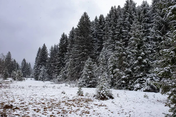 Landscape Snow Garmisch Partenkirchen Bavaria Springtime — Stock Photo, Image
