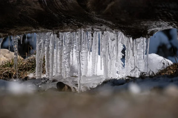 Icicles Mountain Wank Garmisch Partenkirchen Bavaria Germany Springtime — Stock Photo, Image