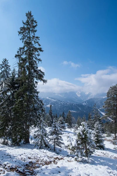 Schneelandschaft Bei Garmisch Partenkirchen Bayern Frühling — Stockfoto