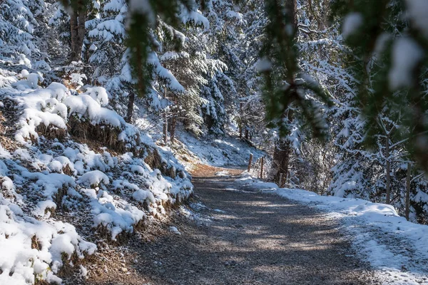 Landscape Snow Garmisch Partenkirchen Bavaria Springtime — Stok fotoğraf