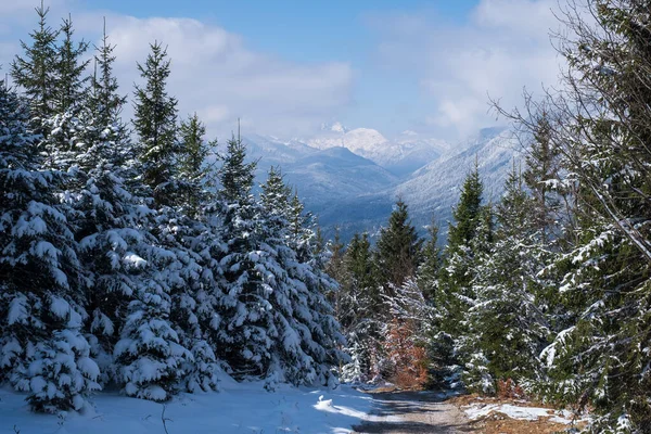 Schneelandschaft Bei Garmisch Partenkirchen Bayern Frühling — Stockfoto