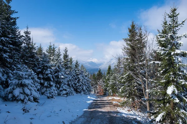 Schneelandschaft Bei Garmisch Partenkirchen Bayern Frühling — Stockfoto