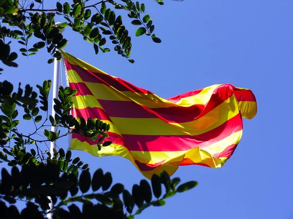 senyera - catalonia bayrağı