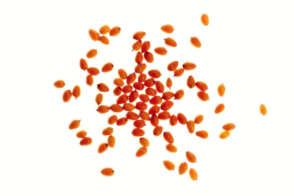 Medicinal orange fruit — Stock Photo, Image