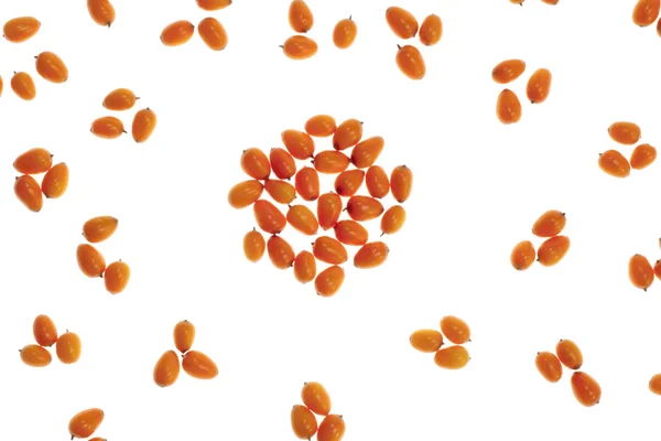 Medicinale oranje vruchten — Stockfoto