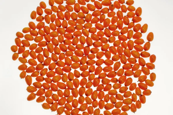 tıbbi turuncu meyve