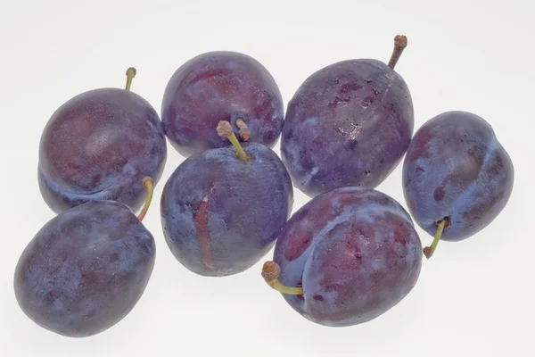 The plums — Stock Photo, Image