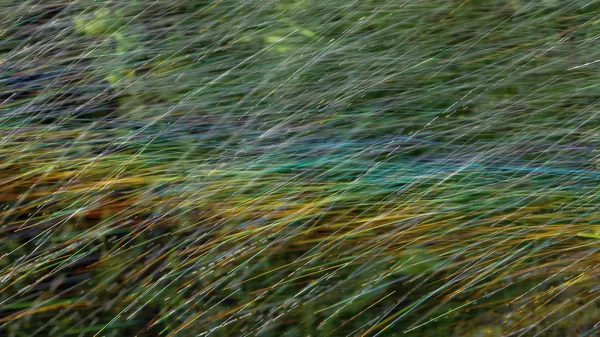 Arcobaleno, Luce e acqua — Foto Stock