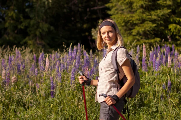 Nordic walking v létě — Stock fotografie