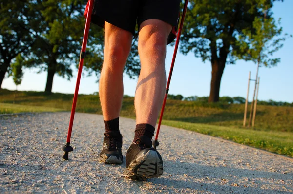 Nordic walking v létě — Stock fotografie