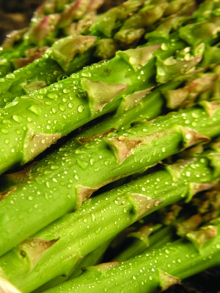 Close up of fresh asparagus — Stock Photo, Image