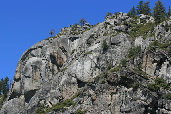 Pines on a top of mountain. Summer landscape. Sky — Stock Photo, Image