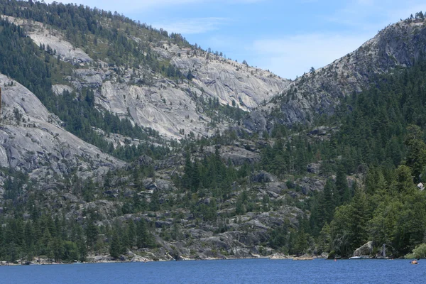 Pines on a top of mountain. Summer landscape. Sky — Stock Photo, Image