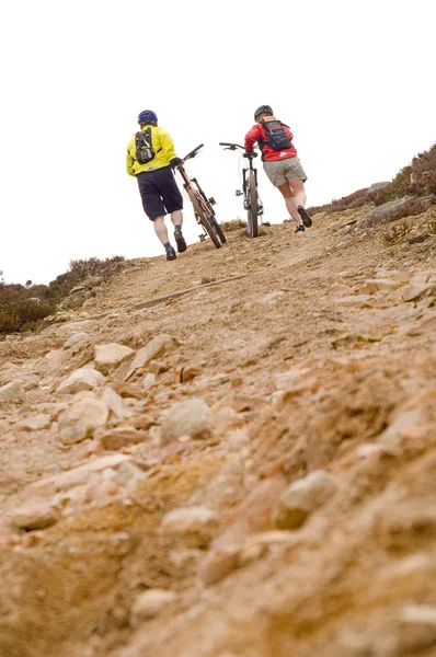 Mountain biking — Stock Photo, Image