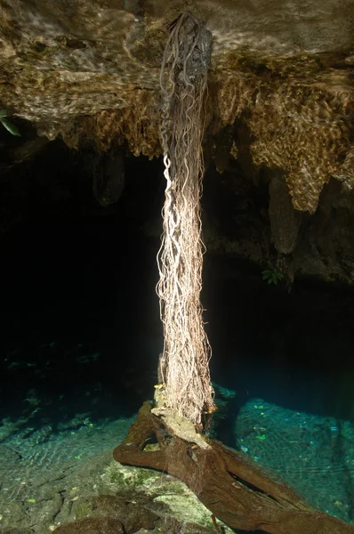 동굴에 물 스톡 사진