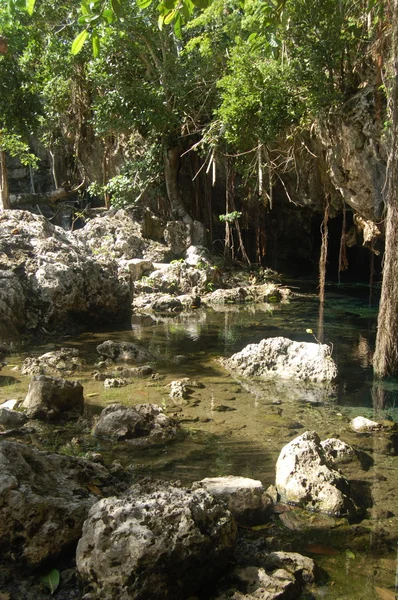 Agua en la cueva Fotos de stock libres de derechos