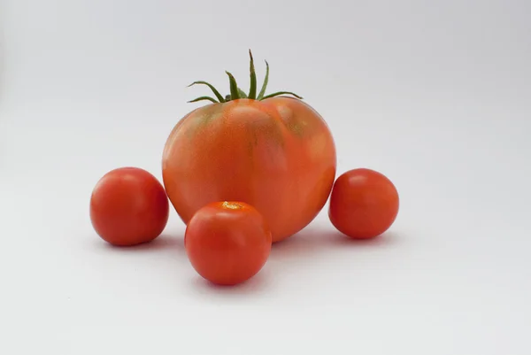 Big and small tomatoes — Stock Photo, Image