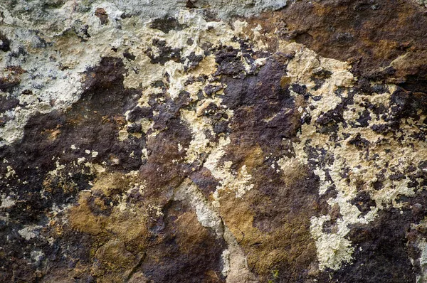 Rock of mottled colors — Stock Photo, Image