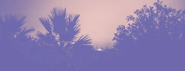 Hermoso cielo ardiente puesta de sol en la playa, tonificado en púrpura. Colores del año 2022 - Muy Peri — Foto de Stock