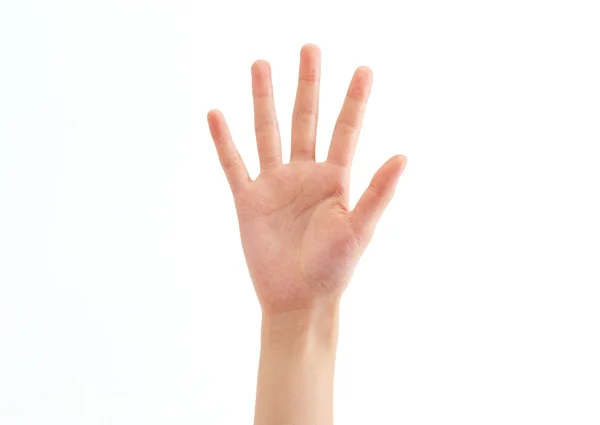 Hand 5 — Stockfoto