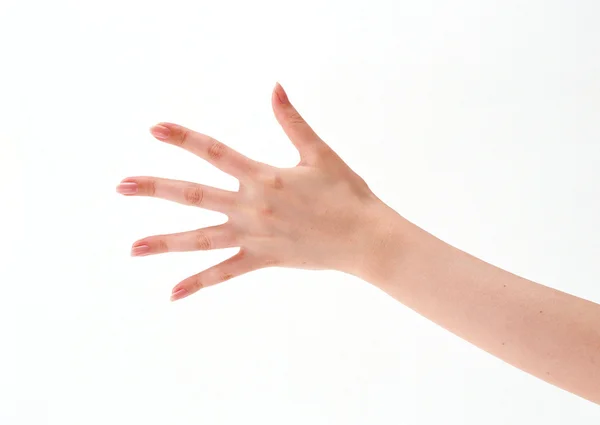 Πέντε χέρι — Φωτογραφία Αρχείου