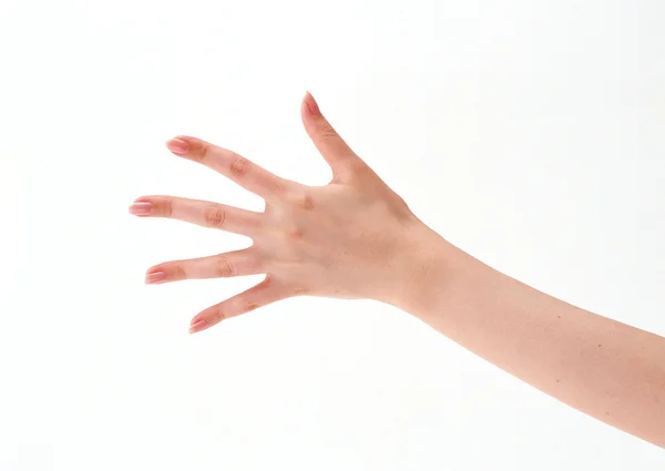 Vijf hand — Stockfoto