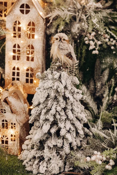 Dalları karla kaplı bir ağaca konmuş baykuş. — Stok fotoğraf