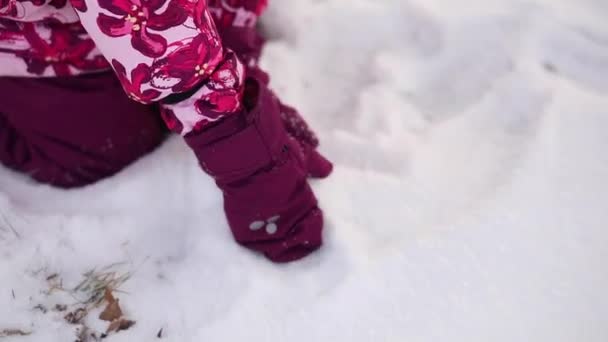 Een meisje lacht in de winter en brengt een goede dag, portret — Stockvideo